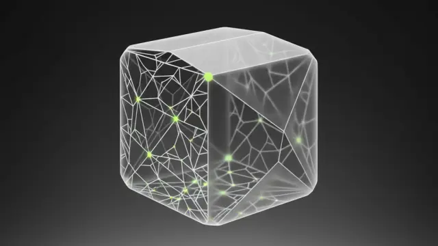 Упаковка из грибов за 7 дней: как мицелий вытесняет пенопласт